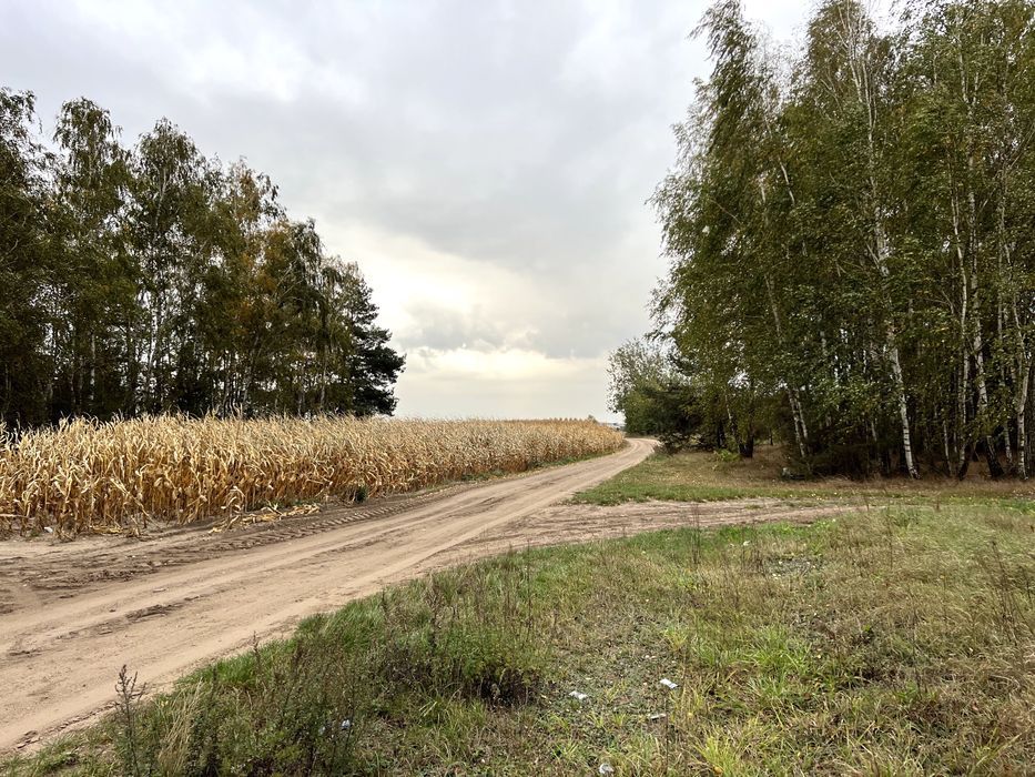 Działka budowlana Olszanka. Zdjęcie 1