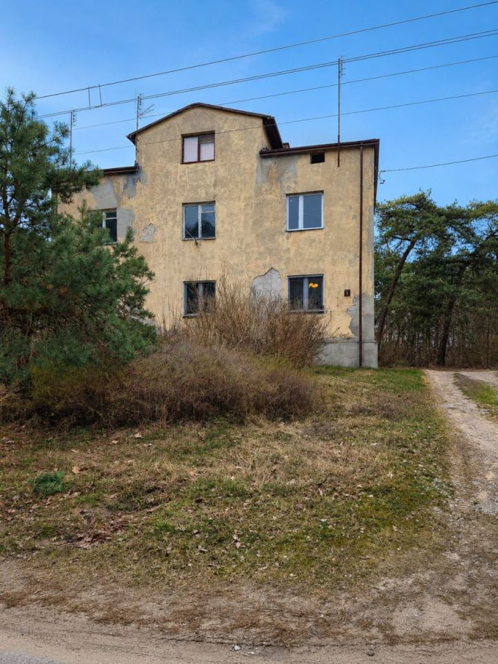 kamienica, 6 pokoi Międzyborów. Zdjęcie 2