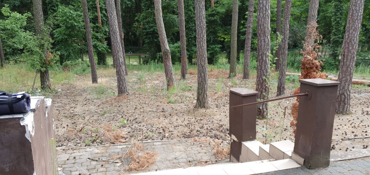 Nieruchomość komercyjna Boszkowo. Zdjęcie 11