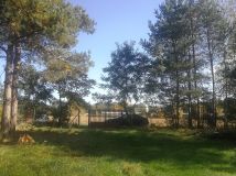 Działka rolno-budowlana Dzierżązna, ul. Brzozowa. Zdjęcie 2