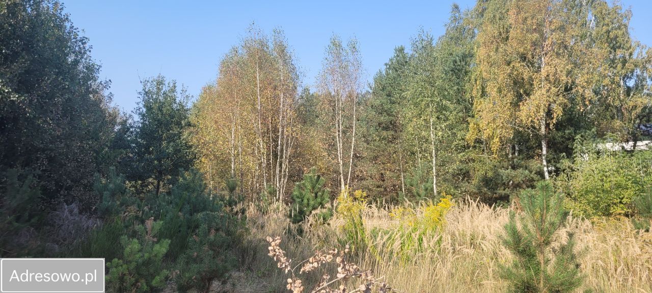 Działka budowlana Wierzchowisko, ul. Spadowa. Zdjęcie 4