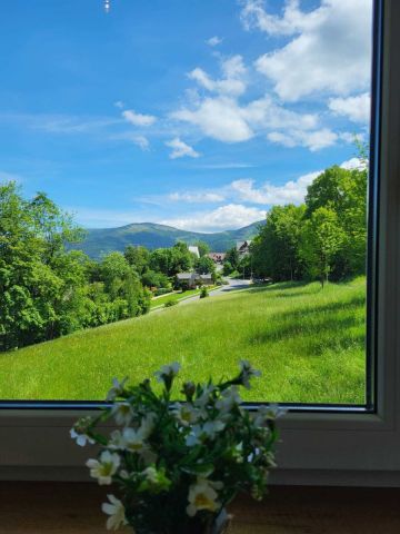 Mieszkanie 1-pokojowe Karpacz. Zdjęcie 14