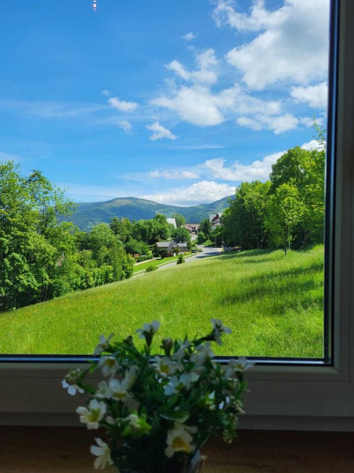 Mieszkanie 1-pokojowe Karpacz. Zdjęcie 14