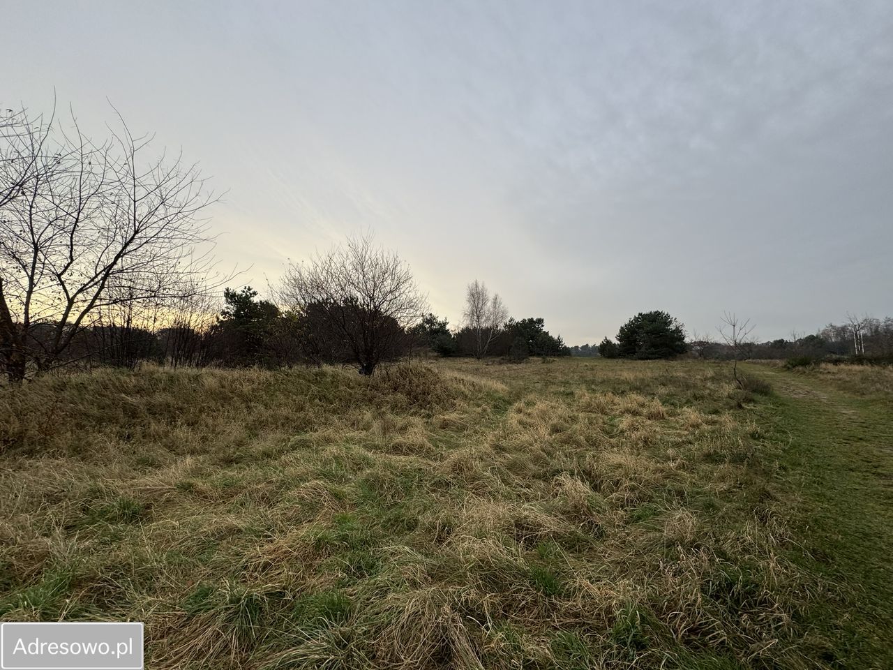 Działka rolno-budowlana Mechelinki. Zdjęcie 11