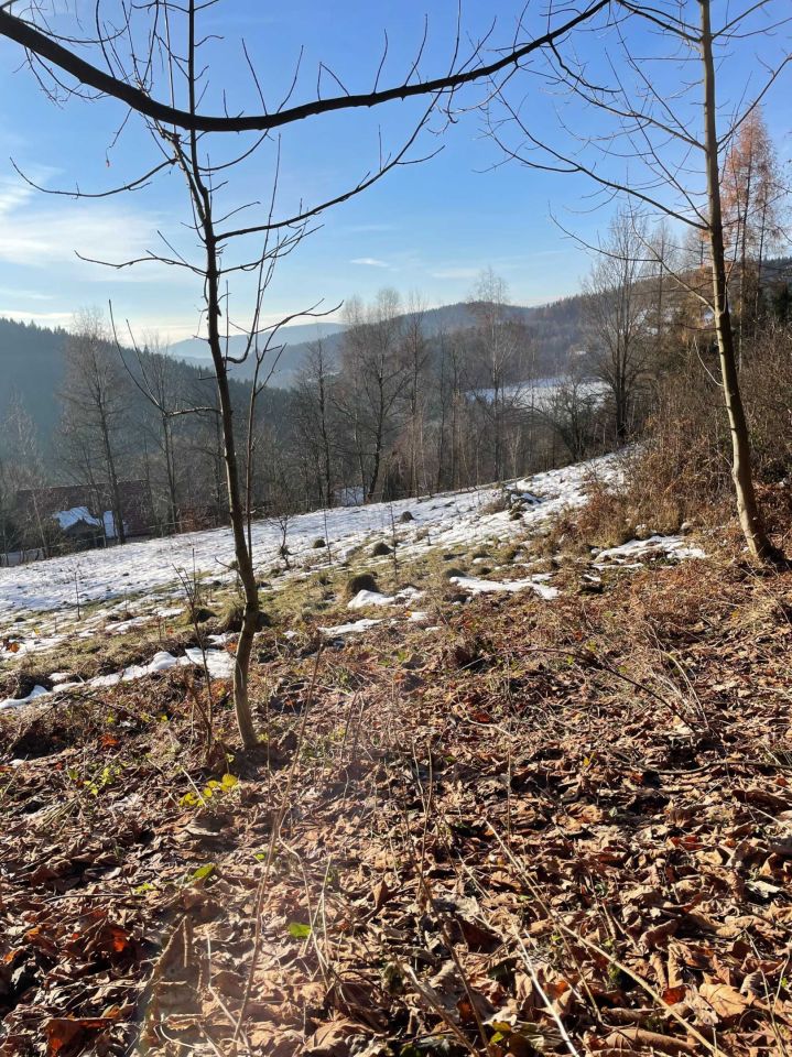 Działka budowlana Żarnówka. Zdjęcie 5