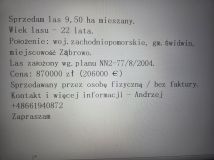 Działka leśna Ząbrowo. Zdjęcie 4