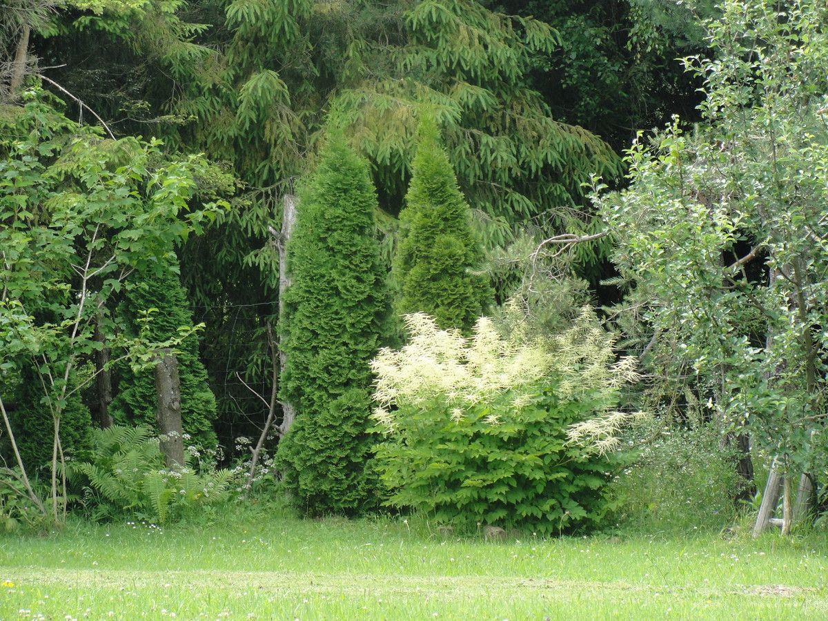 Działka budowlana Klimkówka. Zdjęcie 14