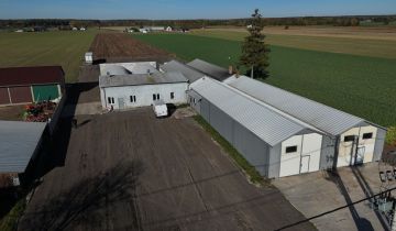 Hala/magazyn Wilczyn