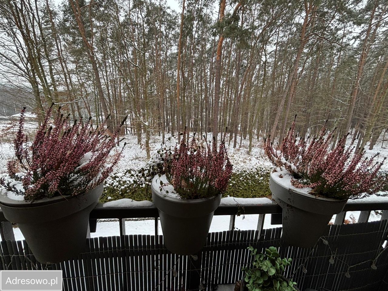 Mieszkanie 3-pokojowe Chodzież, ul. Leśna. Zdjęcie 15