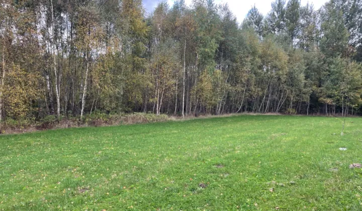 Działka budowlana Salino