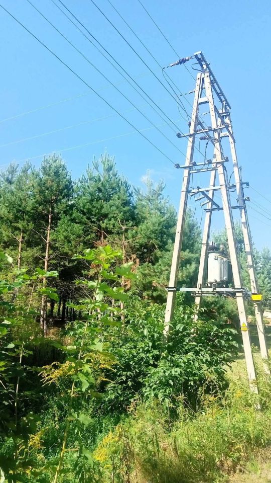 Działka rolna Chojno Nowe Pierwsze. Zdjęcie 6