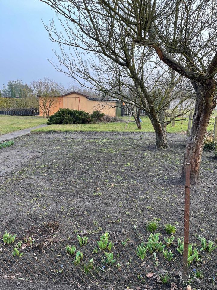 Działka rod Grudziądz, ul. Kochanowskiego. Zdjęcie 5