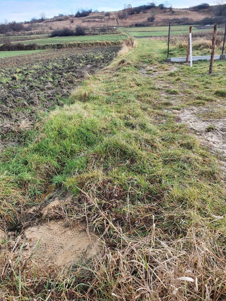 Działka budowlana Zalas. Zdjęcie 7