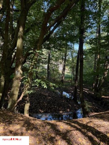 Działka budowlana Siestrzeń. Zdjęcie 14