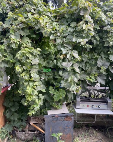 Działka rekreacyjna Kierszek. Zdjęcie 6