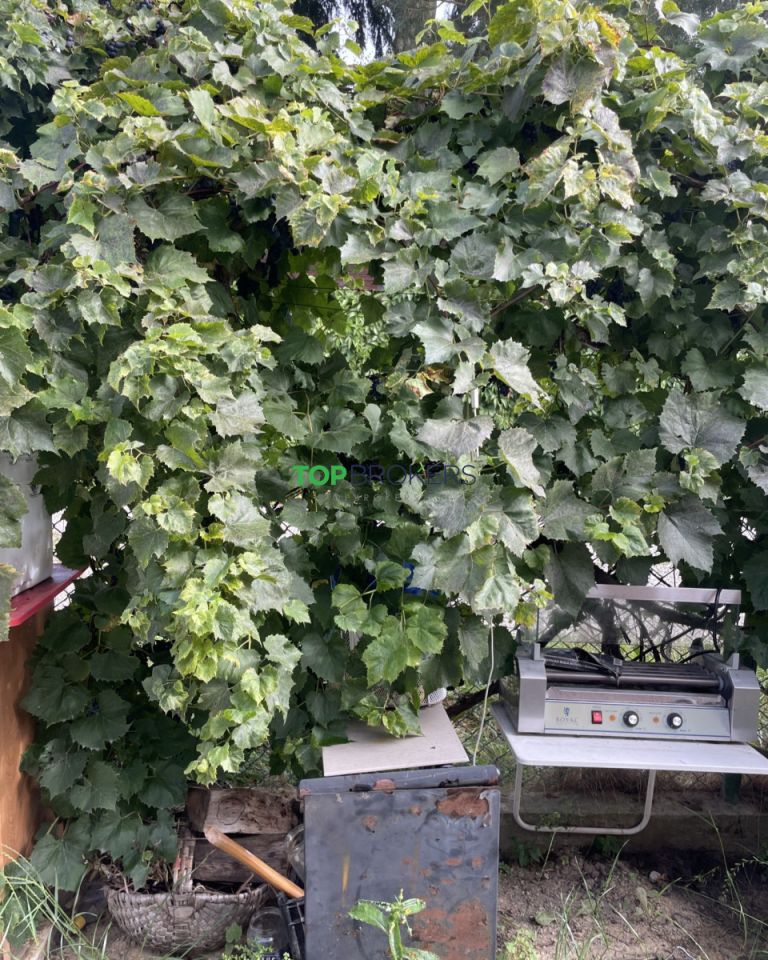 Działka rekreacyjna Kierszek. Zdjęcie 6