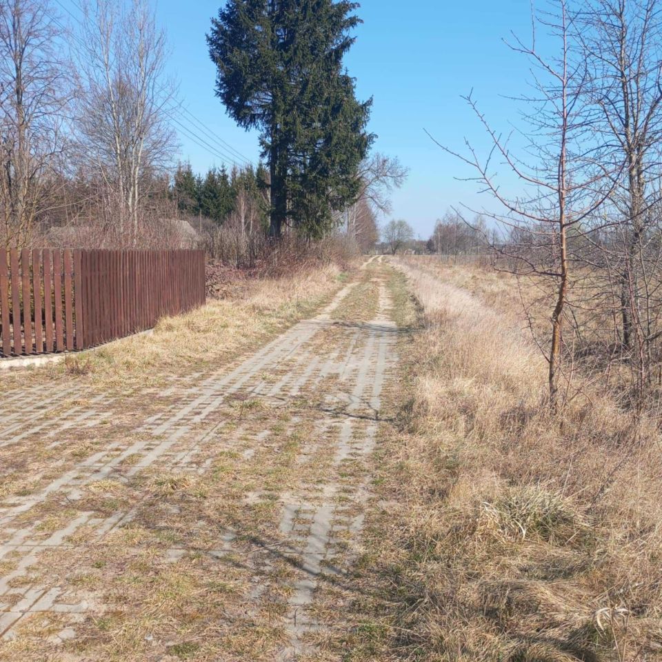 Działka rolno-budowlana Dąbrowa. Zdjęcie 7