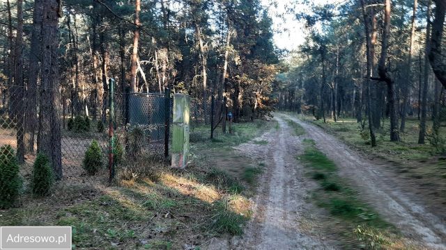 Działka leśna Makówiec Duży. Zdjęcie 1