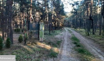 Działka leśna Makówiec Duży