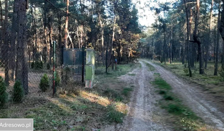 Działka leśna Makówiec Duży