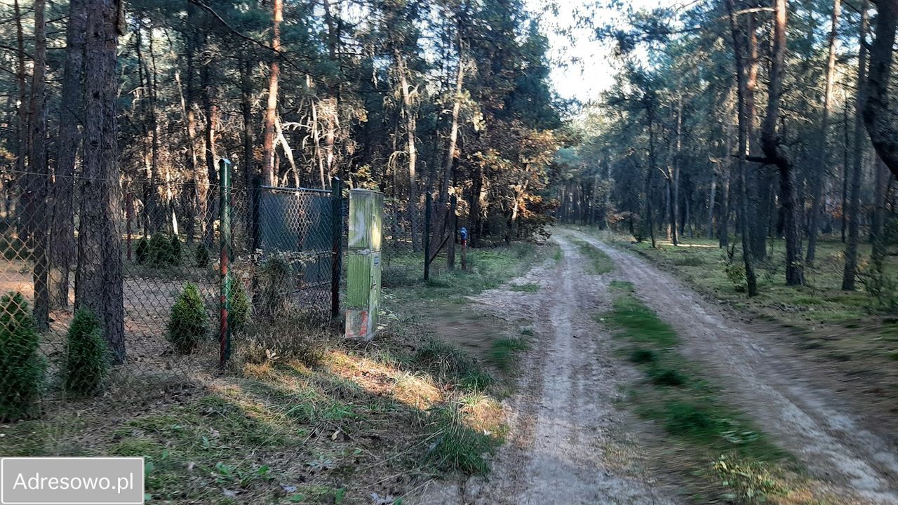 Działka leśna Makówiec Duży