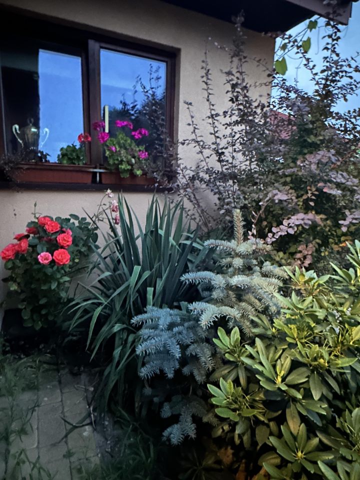 dom wolnostojący, 4 pokoje Huta Żabiowolska, Główna. Zdjęcie 27