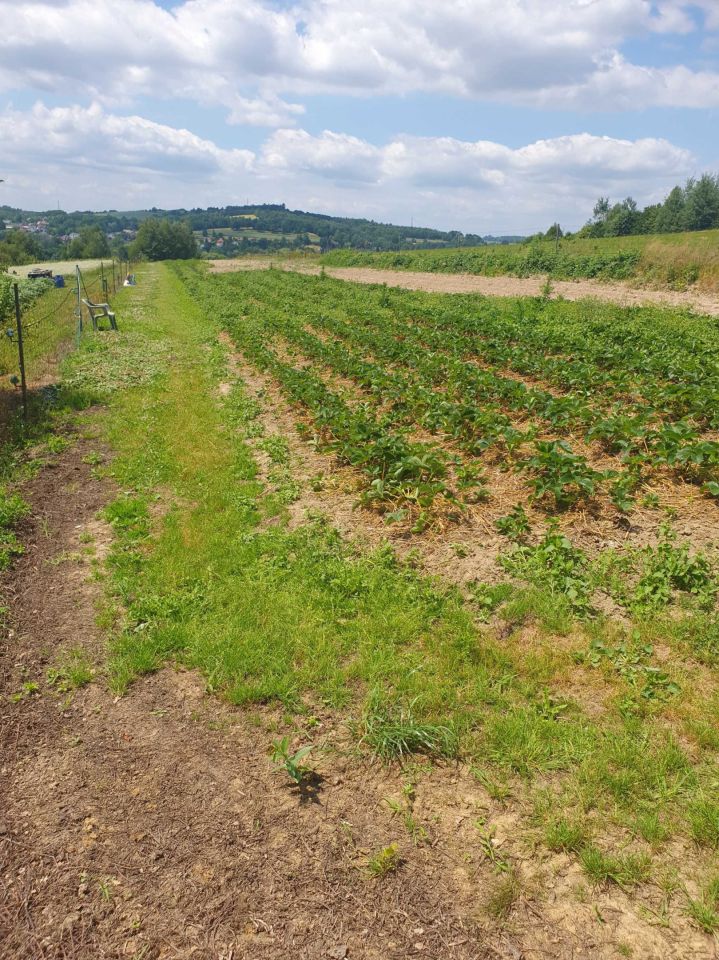 Działka budowlana Radziszów. Zdjęcie 5