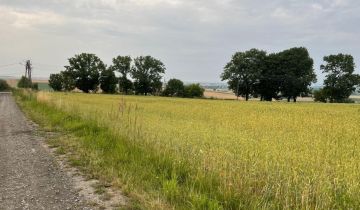 Działka budowlana Krasnystaw Krakowskie Przedmieście, ul. Bojarskiego