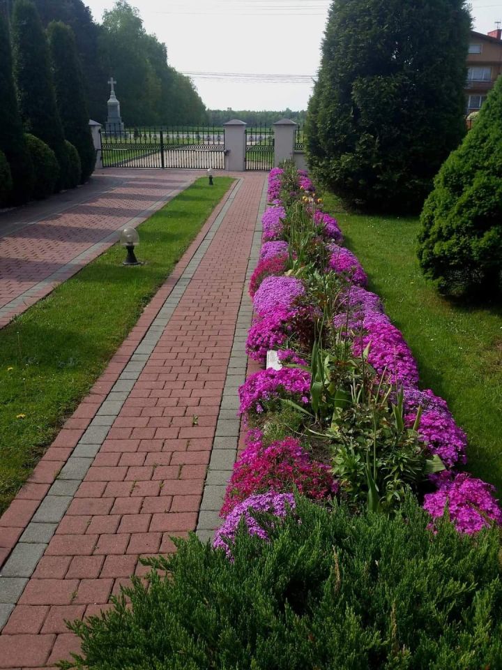 dom wolnostojący, 9 pokoi Winowno, ul. Opolska. Zdjęcie 10