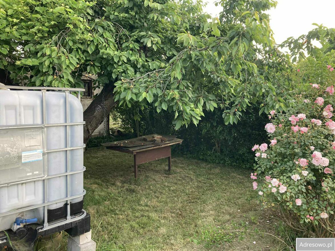 Działka rod Wrocław Osobowice. Zdjęcie 6