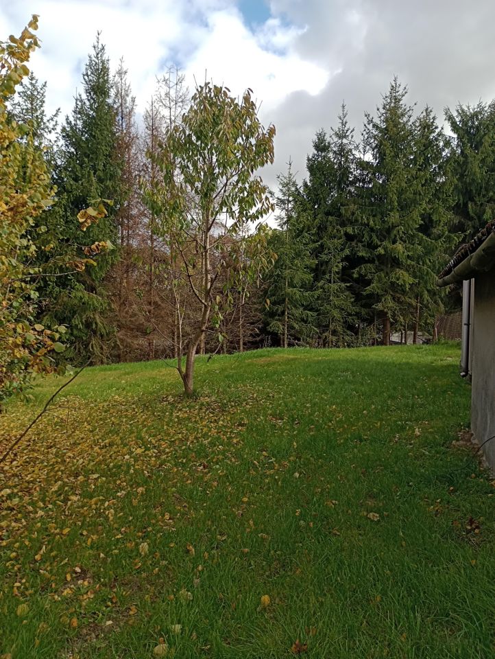 dom wolnostojący, 6 pokoi Zabagnie Nowa Łąka, ul. Czarnoleska. Zdjęcie 27