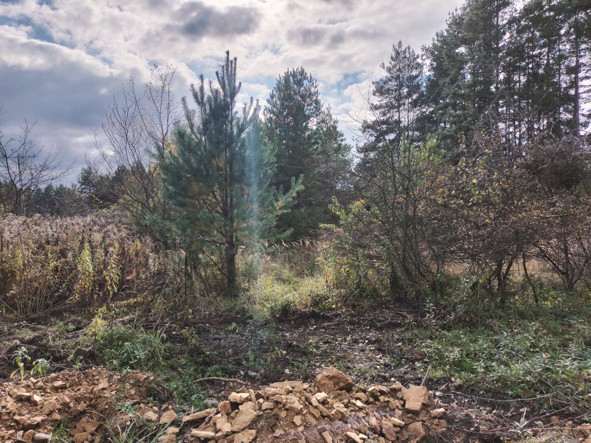 Działka budowlana Czyżówka, ul. Lipowa. Zdjęcie 5