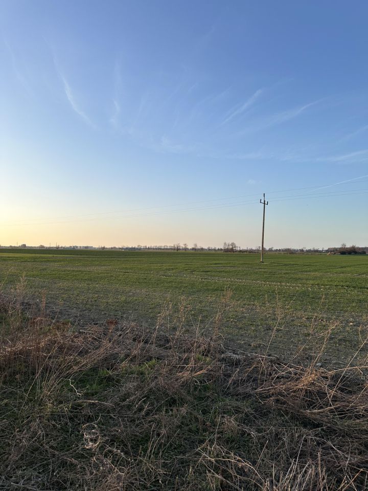 Działka budowlana Szewce, ul. Kasztanowa. Zdjęcie 7