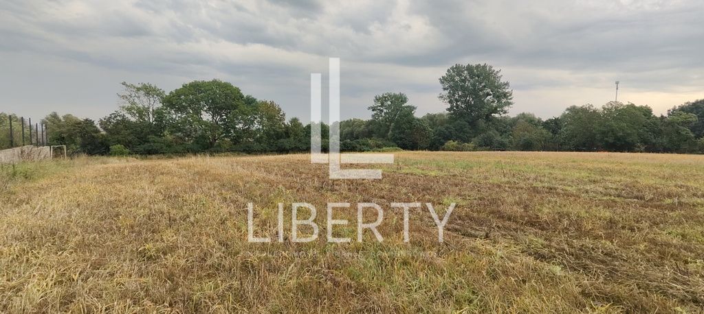 Działka rolna Barnisław. Zdjęcie 2