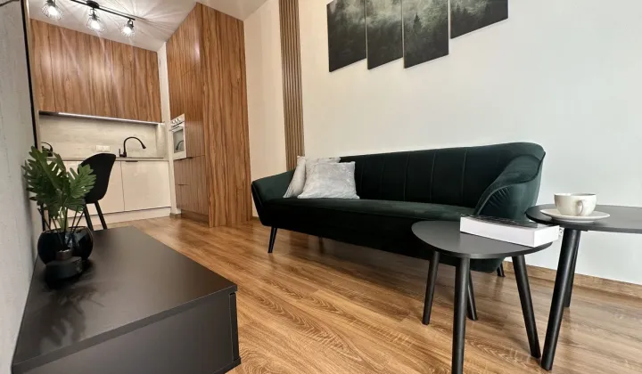 Mieszkanie 2-pokojowe Poznań Nowe Miasto, ul. Czesława Niemena