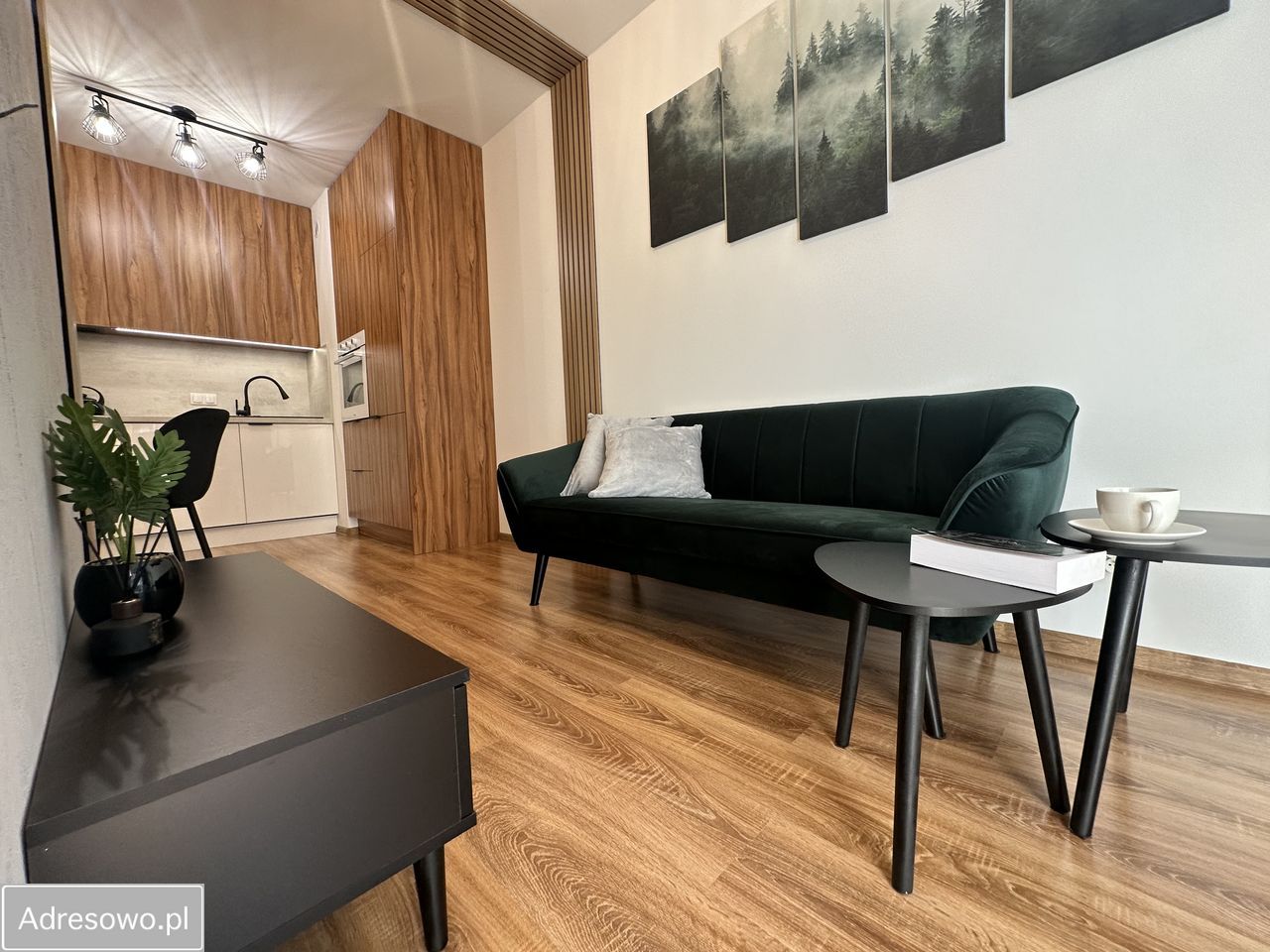 Mieszkanie 2-pokojowe Poznań Nowe Miasto, ul. Czesława Niemena. Zdjęcie 1