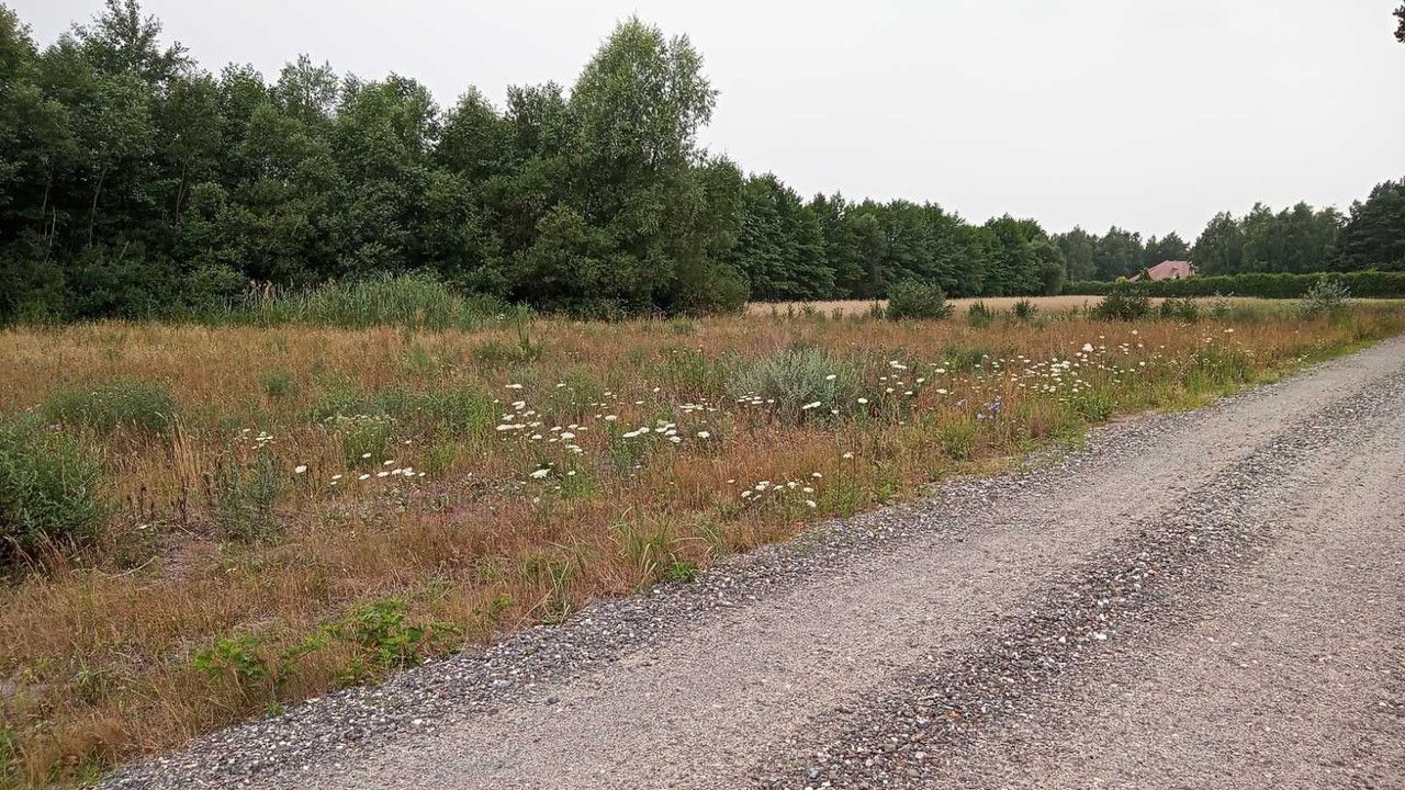 Działka budowlana Karolew. Zdjęcie 6