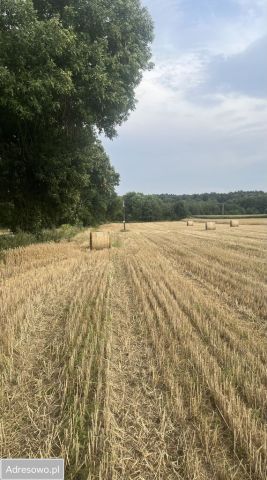 Działka budowlana Dobieszków. Zdjęcie 1