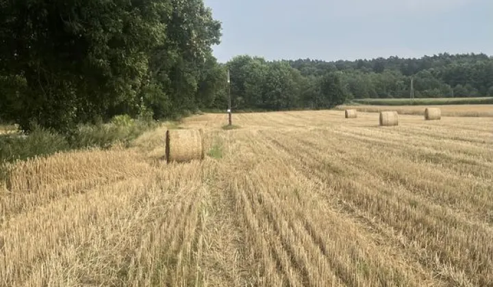 Działka budowlana Dobieszków