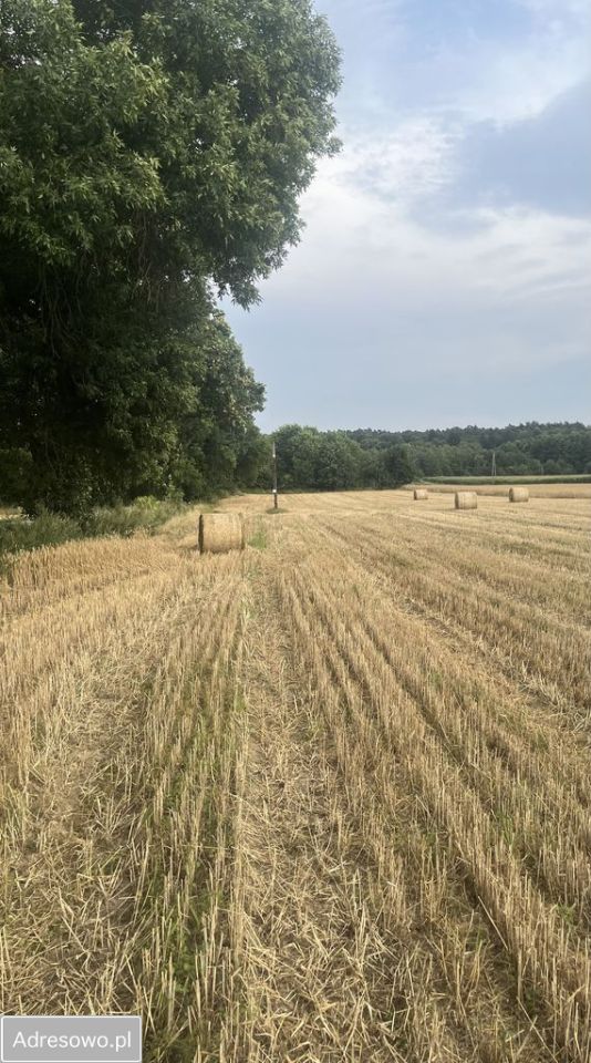 Działka budowlana Dobieszków