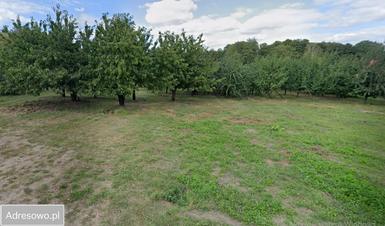 Działka rolno-budowlana Nosy. Zdjęcie 1