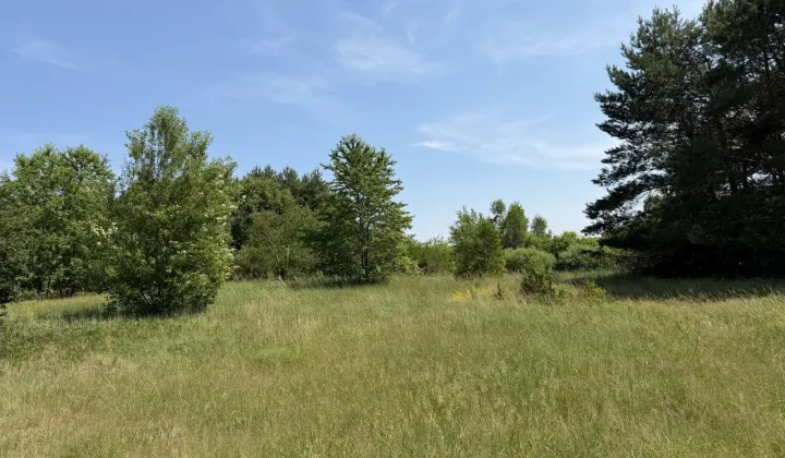 Działka budowlana Skępe