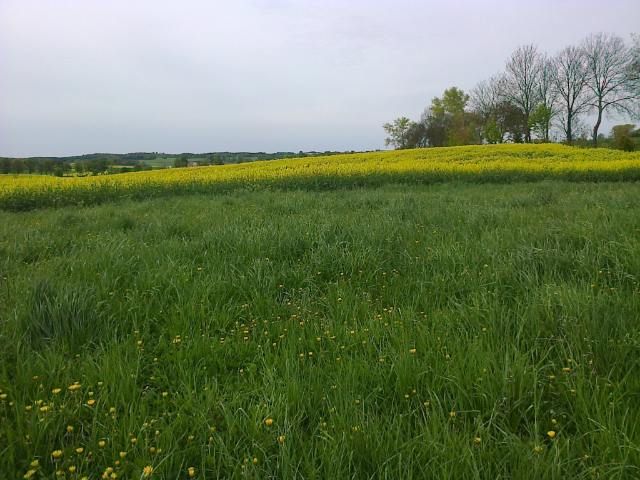 Działka rolno-budowlana Lutry. Zdjęcie 1