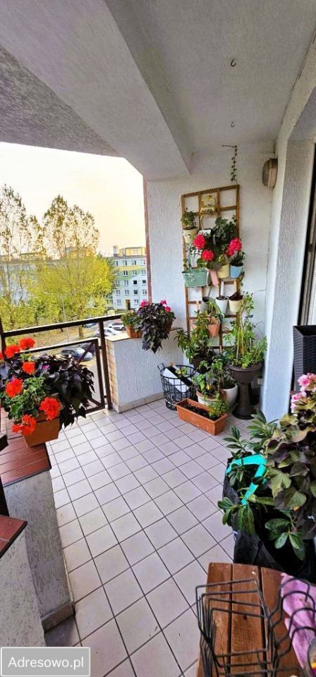 Mieszkanie 4-pokojowe Koszalin, ul. gen. Władysława Sikorskiego. Zdjęcie 16