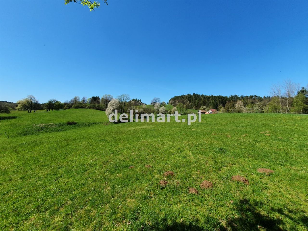 Działka budowlana Postołów. Zdjęcie 14