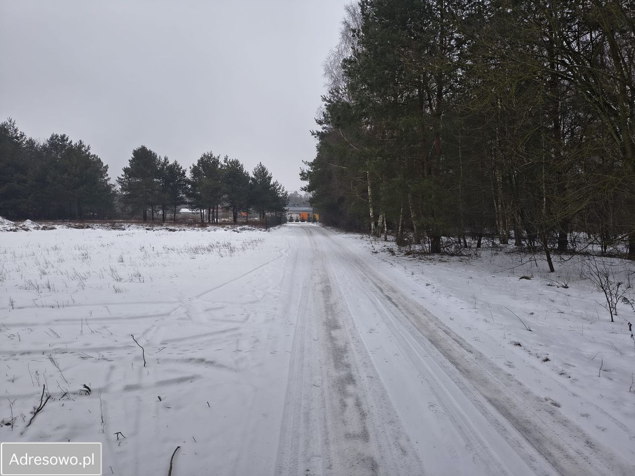 Działka inwestycyjna Kolonia Głowa, ul. Główna. Zdjęcie 9