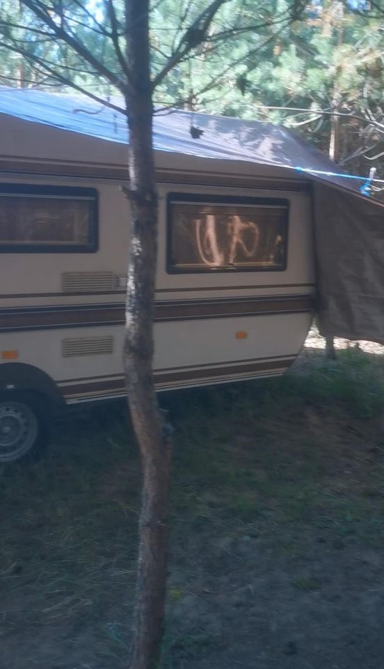 Działka rekreacyjna Chłopowo, Leśna. Zdjęcie 4