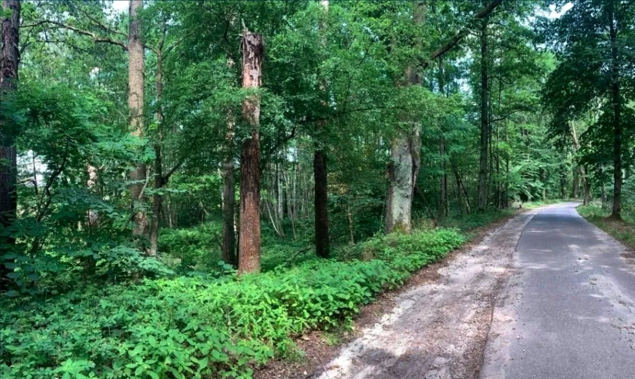 Działka budowlana Świbinki. Zdjęcie 2