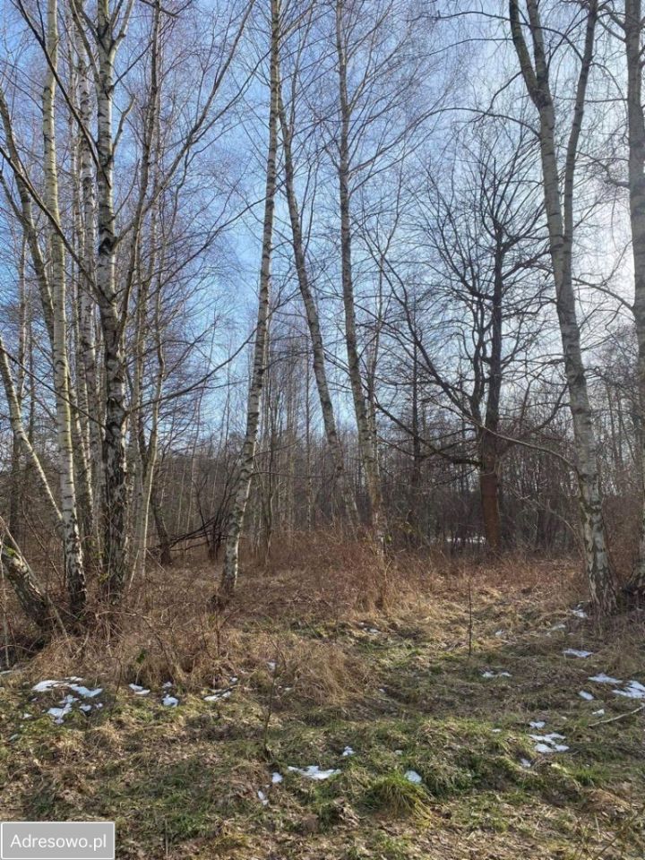 Działka siedliskowa Żuków. Zdjęcie 3