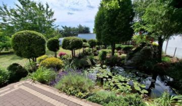 dom wolnostojący, 5 pokoi Stare Miasto, Morwowa